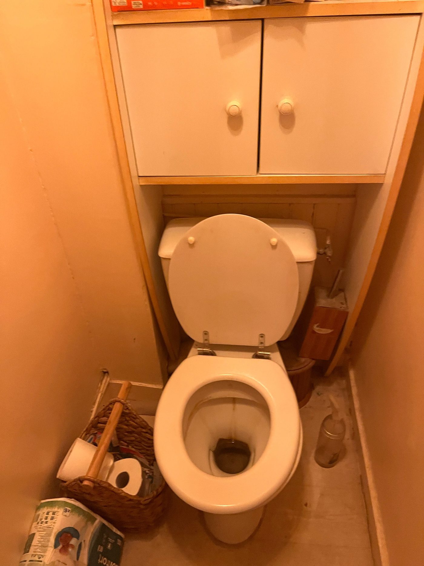 Cuvette WC avant détartrage — Mary Clean Pro